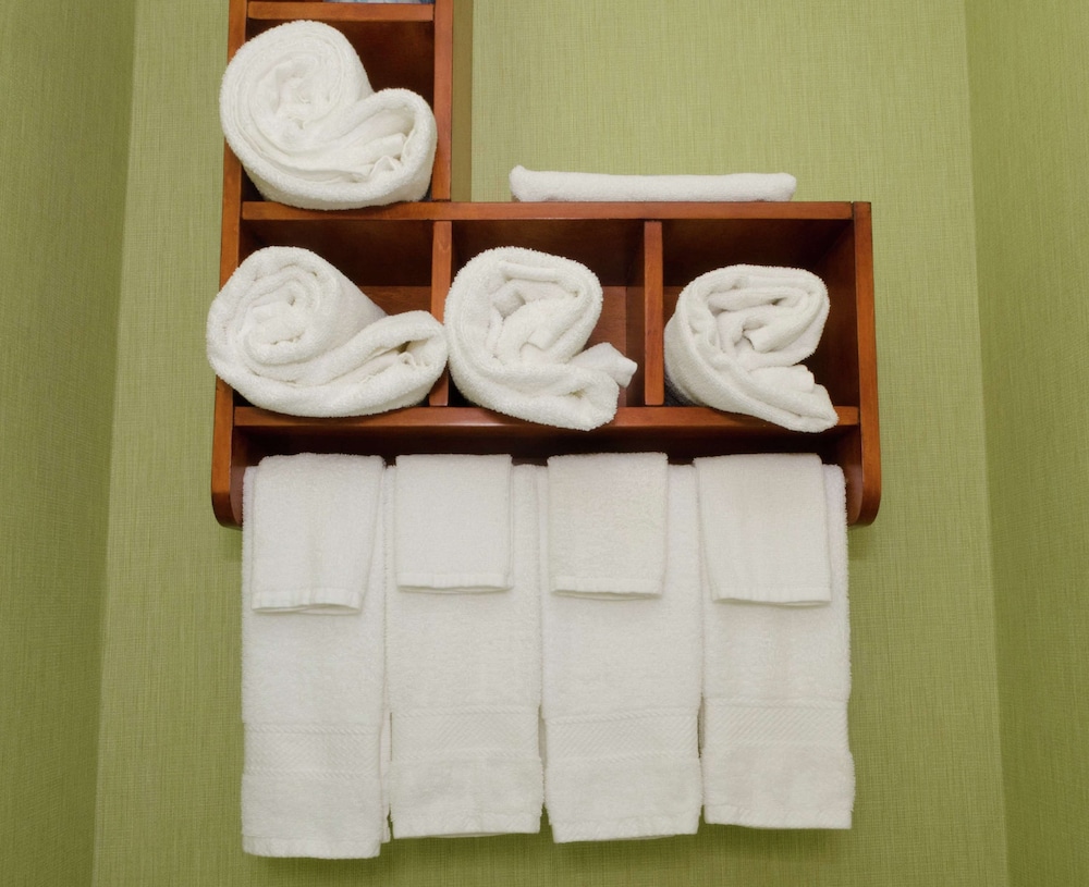 Hampton Inn Hickory - photo 30