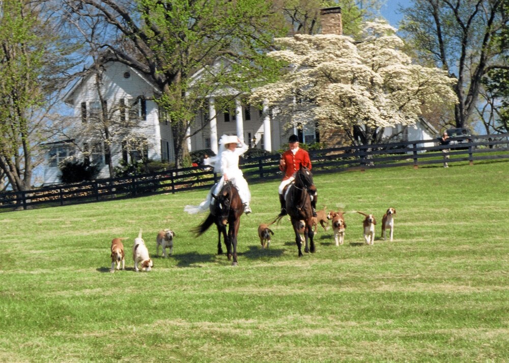 Black Horse Inn - photo 27