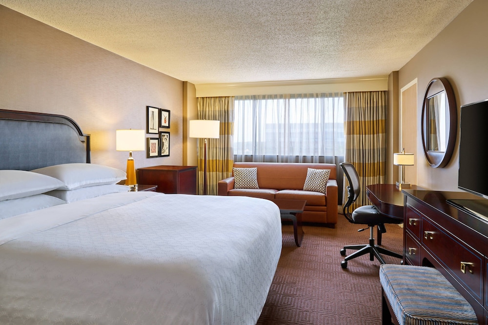 Sheraton North Houston at George Bush Intercontinental - photo 8