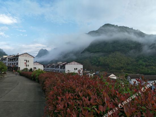 Red Plum Farm Stay — hotel in Yushan