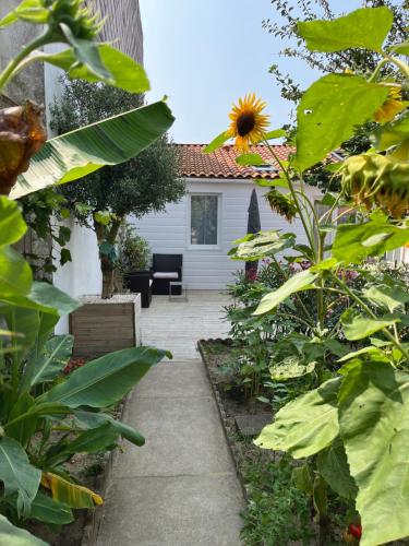 Maisonnette quartier Arago - carbon neutral hotel in Unknown City