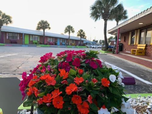 Seahorse Inn - photo 16