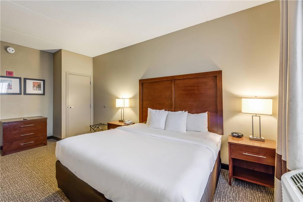 Comfort Suites Chicago O'Hare Airport - photo 30