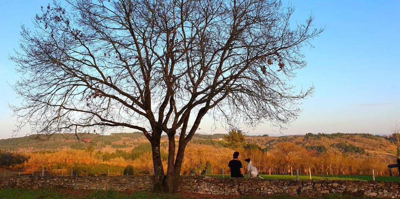 Casa Mato — Monforte De Lemos — photo 2