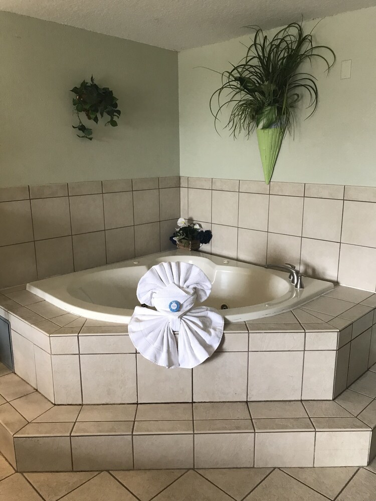 Vista Inn Lake Tarpon - photo 17