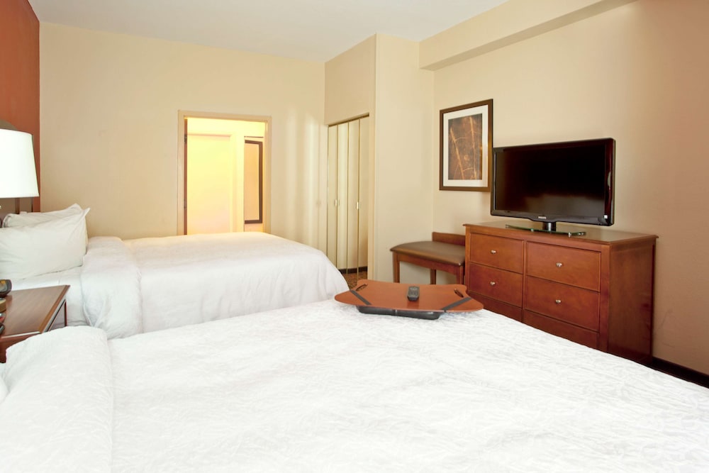 Hampton Inn & Suites El Paso Airport - photo 8