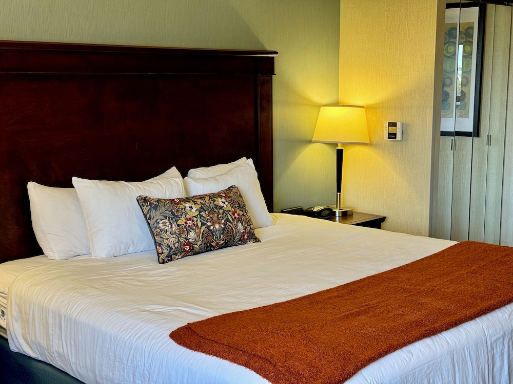 Hotel Indigo Detroit North Troy by IHG - photo 24