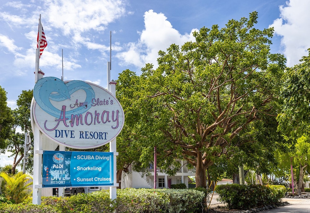 Amoray Dive Resort - photo 147