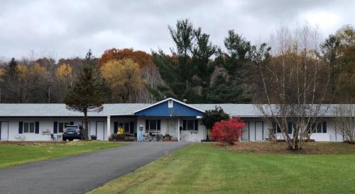 Elm Tree Motel — Albany