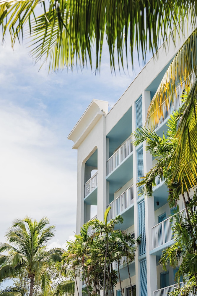 Blue Flamingo Resort Key West - photo 118
