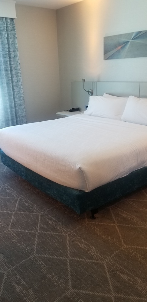 Hilton Garden Inn Colorado Springs Downtown - photo 34
