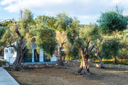 Vikanto Stay — Ulcinj — photo 2