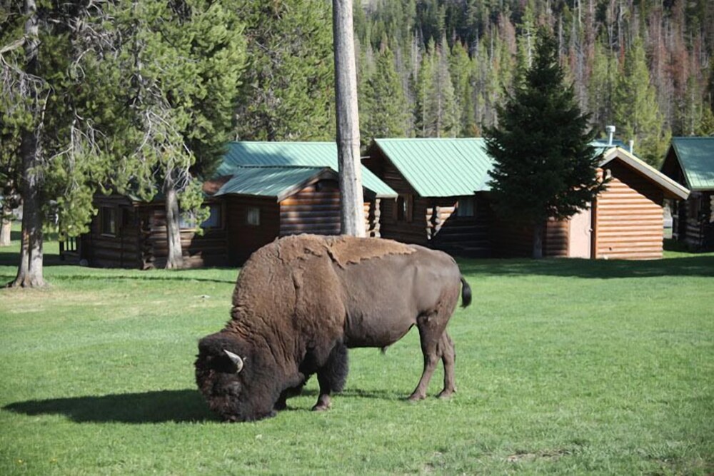 Pahaska Tepee Resort - photo 20