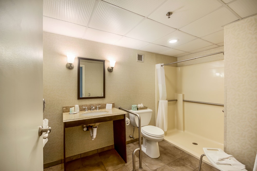 Exton Hotel and Conference Center - photo 7