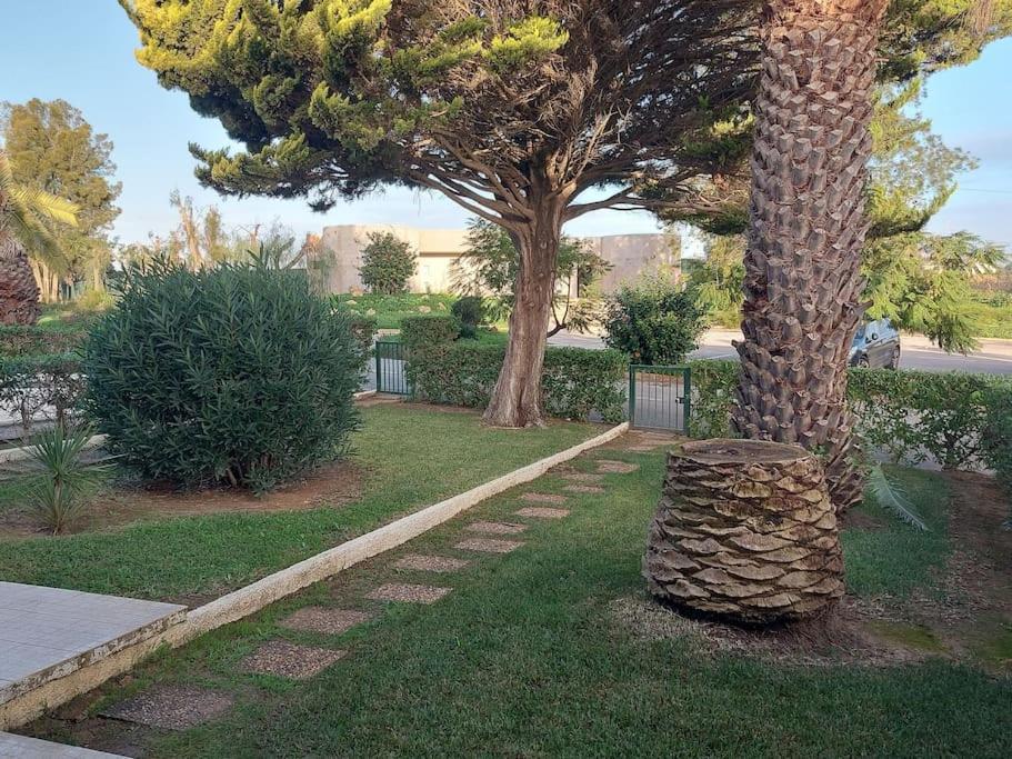 Casa Vaso — Moncarapacho — photo 2