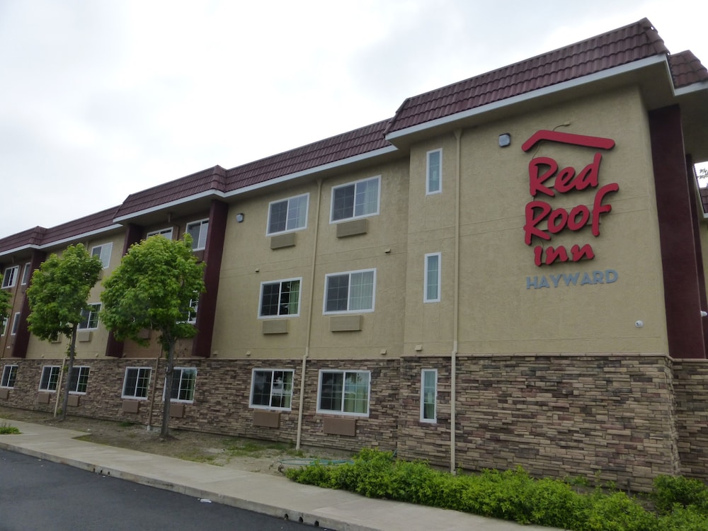 Red Roof Inn Hayward - featured photo