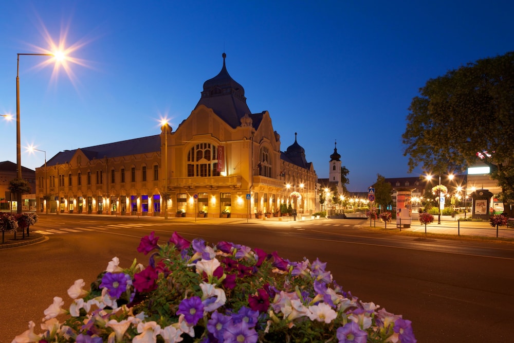 Erzsebet Kiralyne Hotel — hotel in Godollo