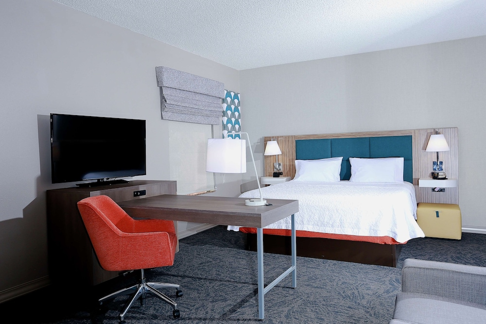 Hampton Inn & Suites Tampa Wesley Chapel - photo 8