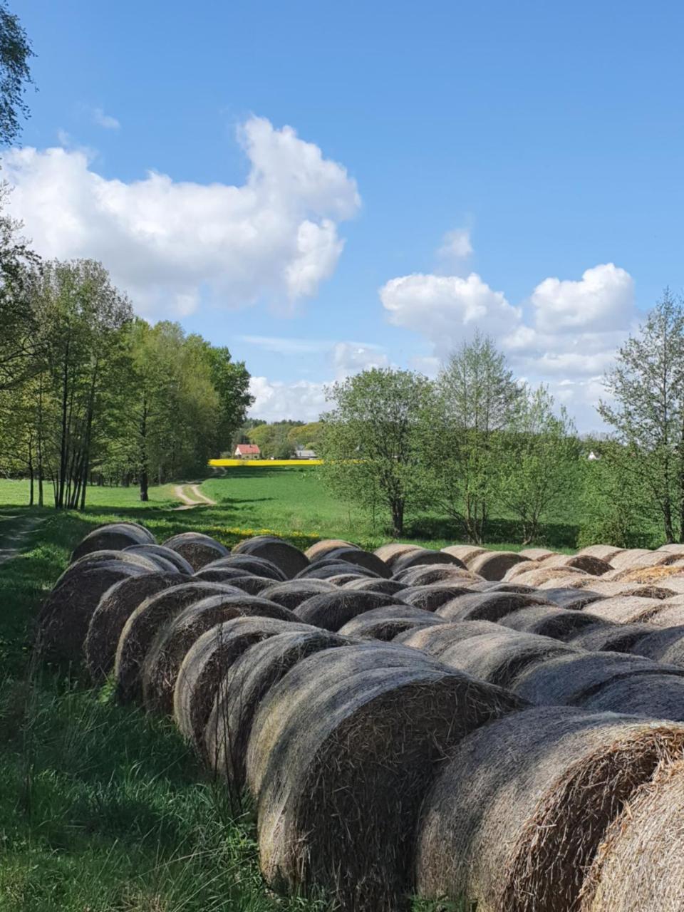 Anni’s Waldblick — Burgstaedt — photo 4