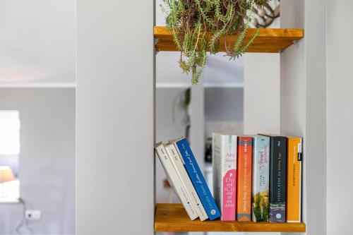 Ferienwohnung an der Schlei — Fleckeby — photo 4