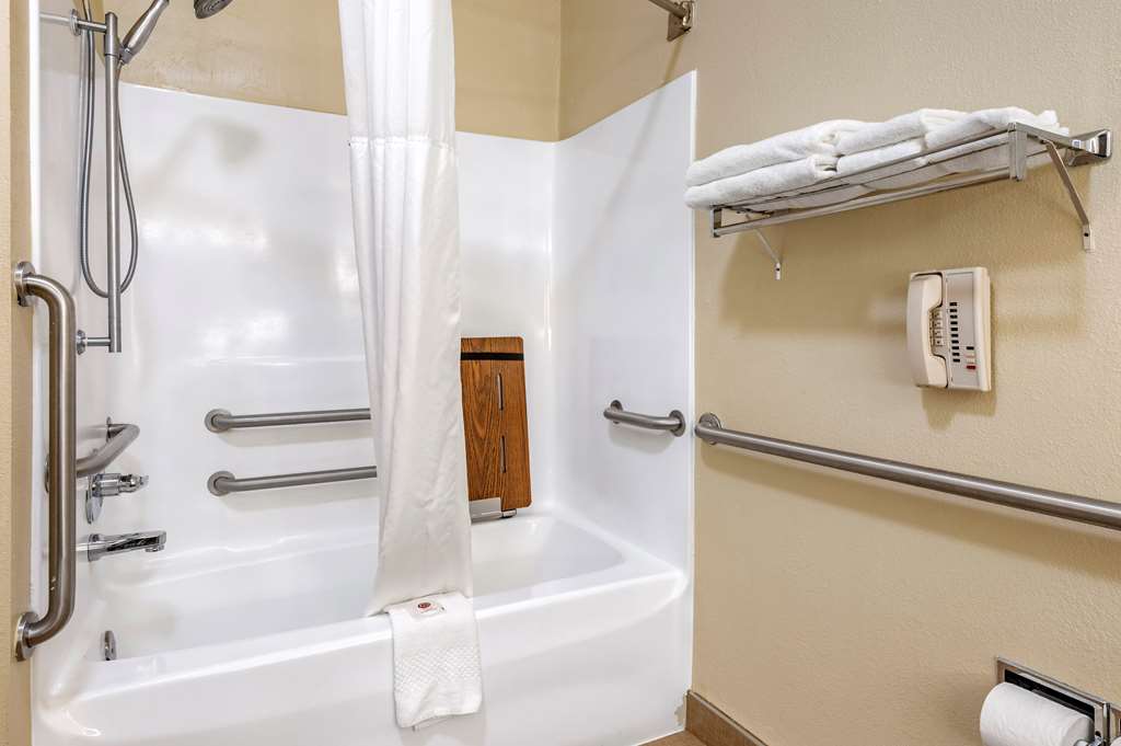 Comfort Inn & Suites Cincinnati Uptown Clifton - photo 13
