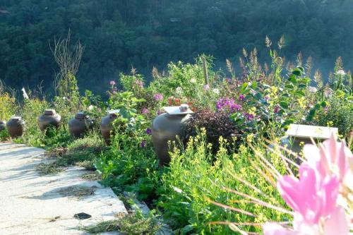 Sapawine Homestay — 4-Star Luxury Hotel in Sa Pa, Vietnam