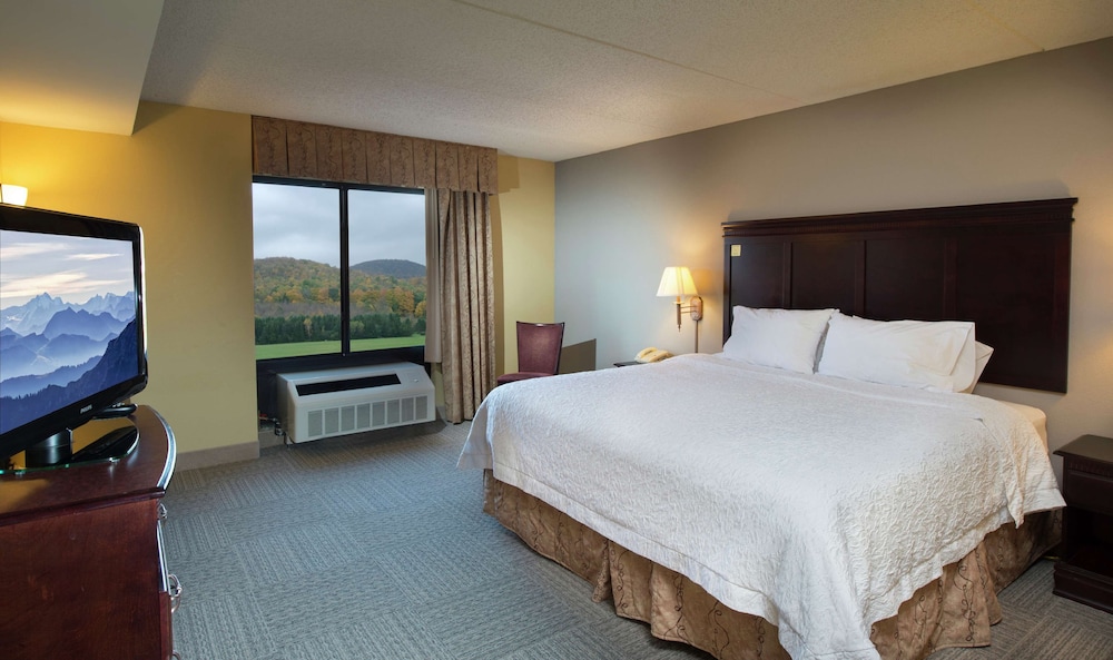 Hampton Inn Bennington - photo 16