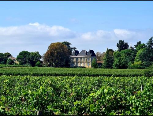 Chateau Tanesse de Tourny — hotel in Le Pian-Medoc
