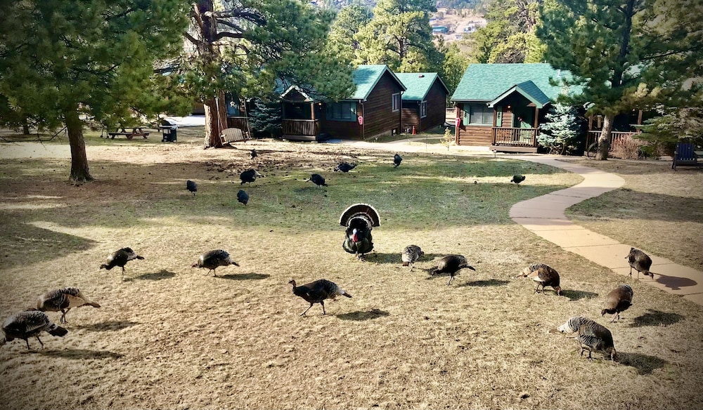 Mountain Shadows Resort - photo 26
