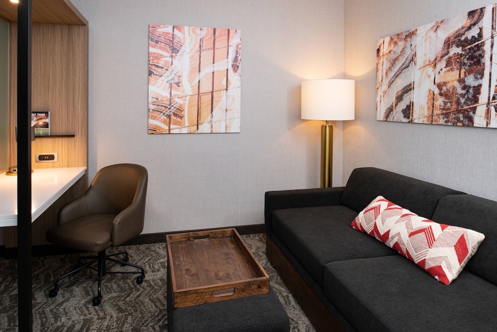Springhill Suites Kansas City Northeast - photo 50