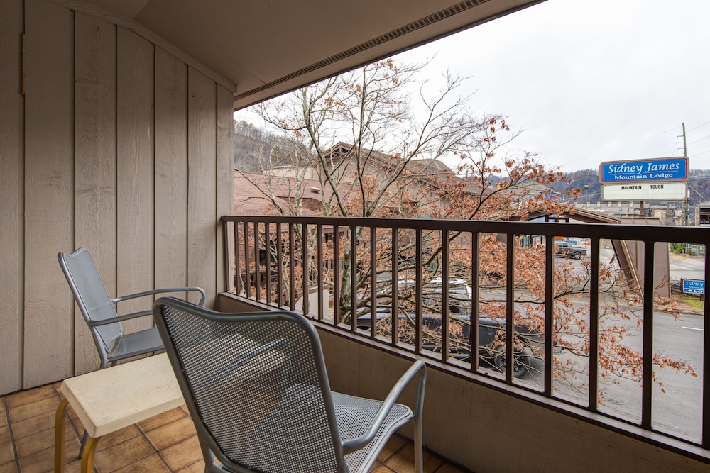 Sidney James Mountain Lodge - photo 84