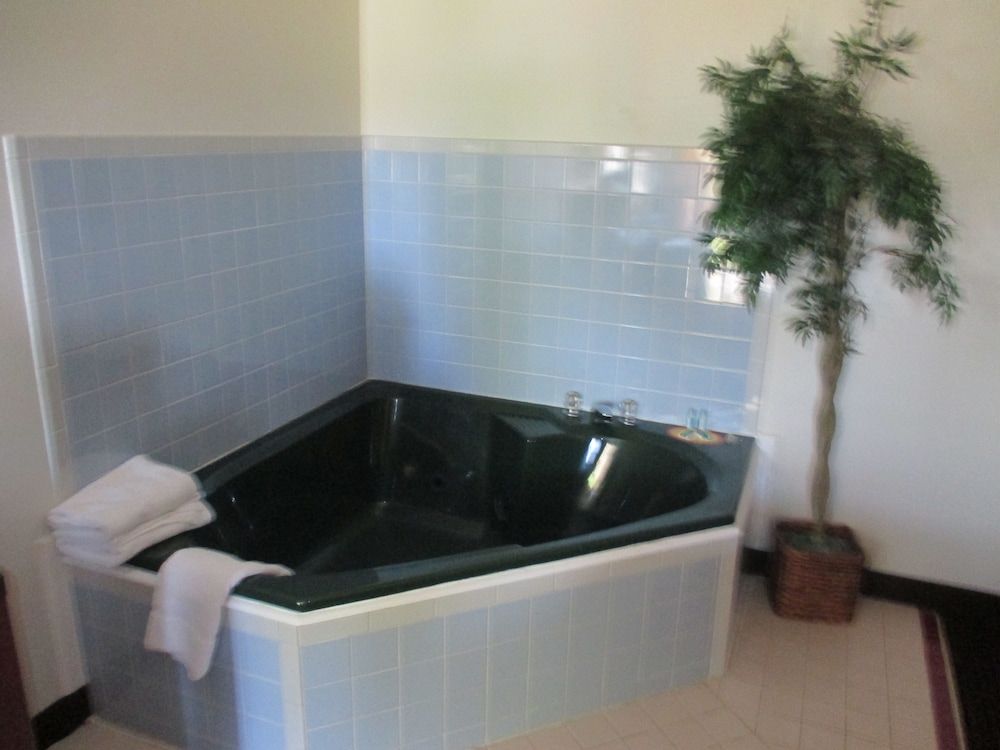 Plum Tree Inn - photo 13