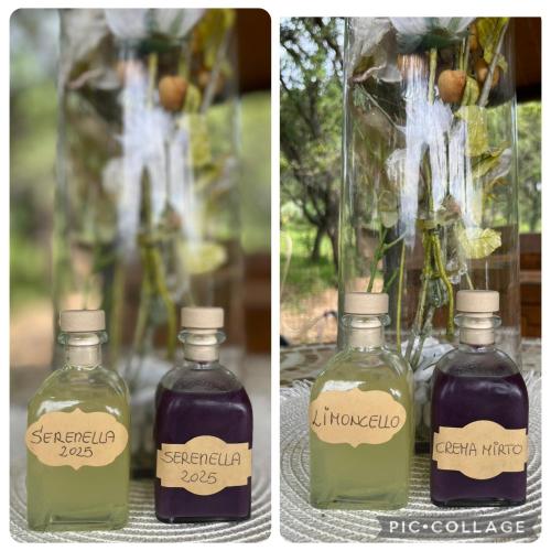 Serenella in Olbia, Italy