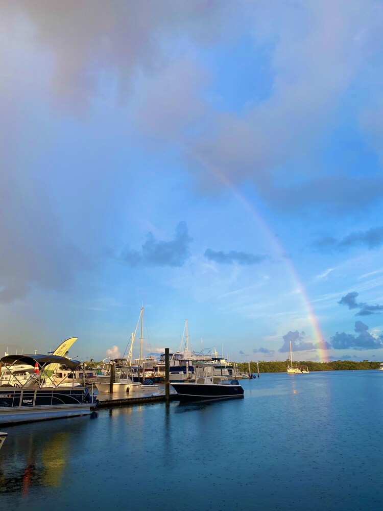 Mangrove Marina and Resort Aqualodge Houseboats - photo 88