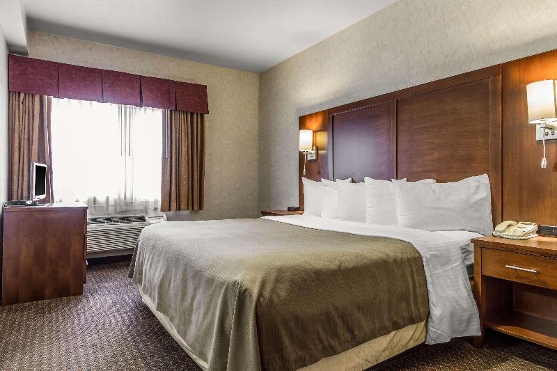 Quality Inn San Jose Downtown - photo 20