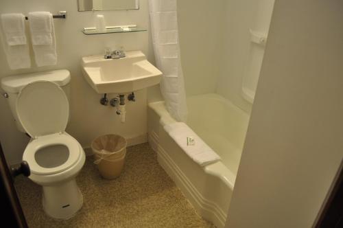 Golden Lion Motel - photo 13
