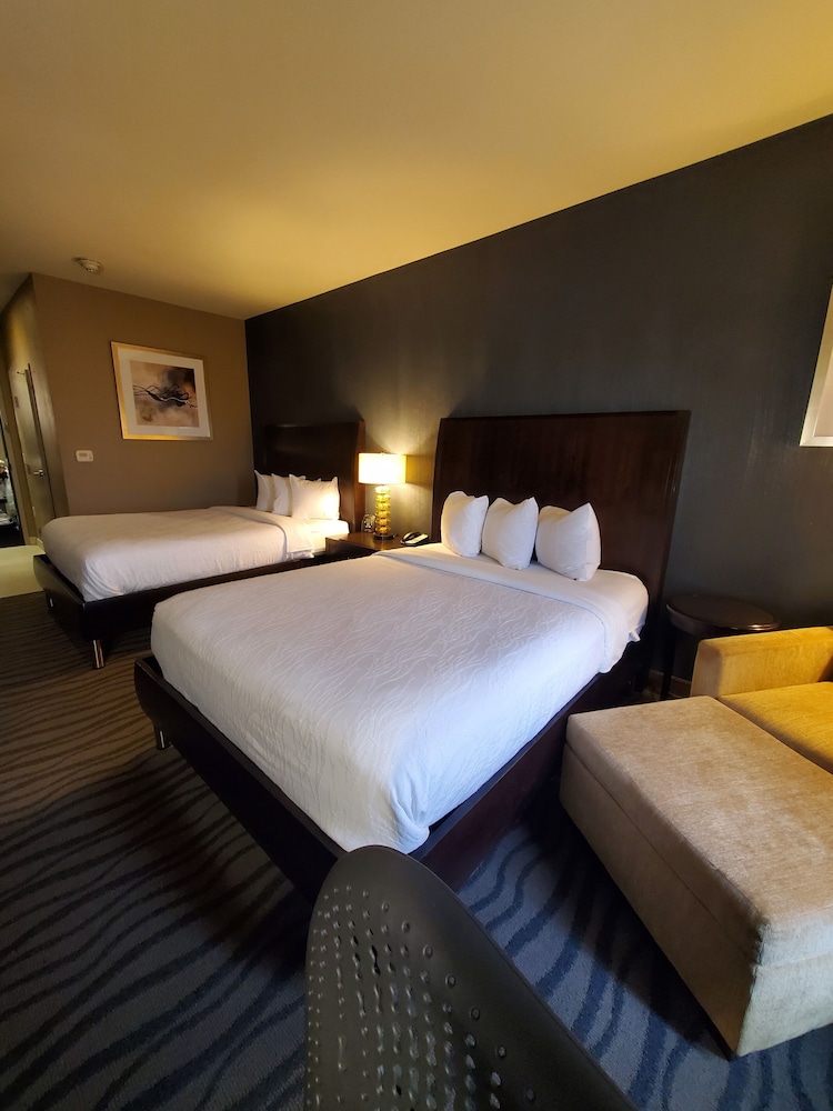 Hilton Garden Inn Fort Worth Alliance Airport - photo 11