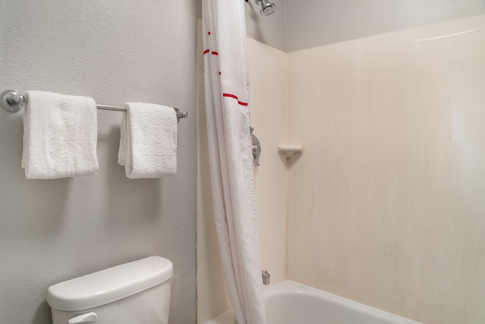 Red Roof Inn Detroit Metro Airport Taylor - photo 32