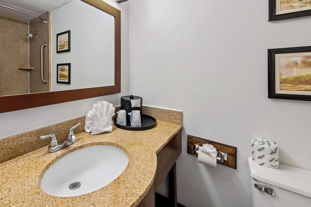 Comfort Inn & Suites Omaha Central - photo 19