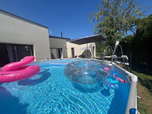 Quiniere Entre Lac Et Foret 25 M2 Independant Avec Piscine — Blois