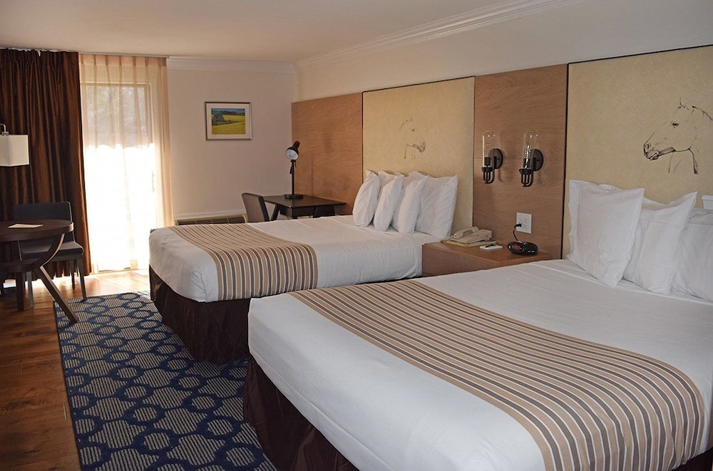 Interlaken Inn & Resort - photo 6