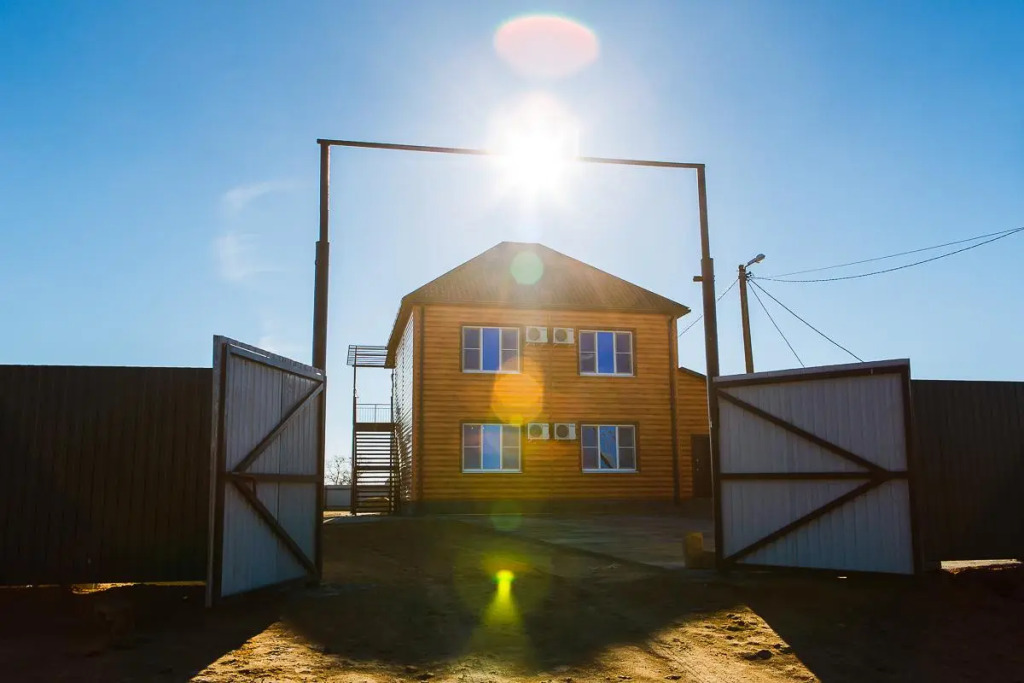 Tortuga in Unknown City, Russia