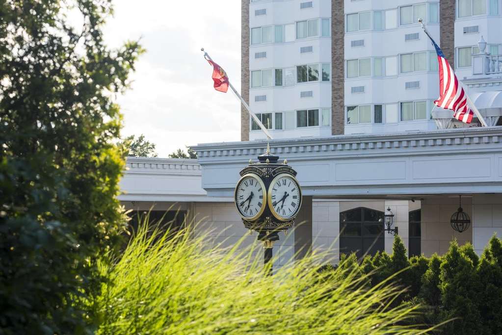 The Garden City Hotel - photo 36