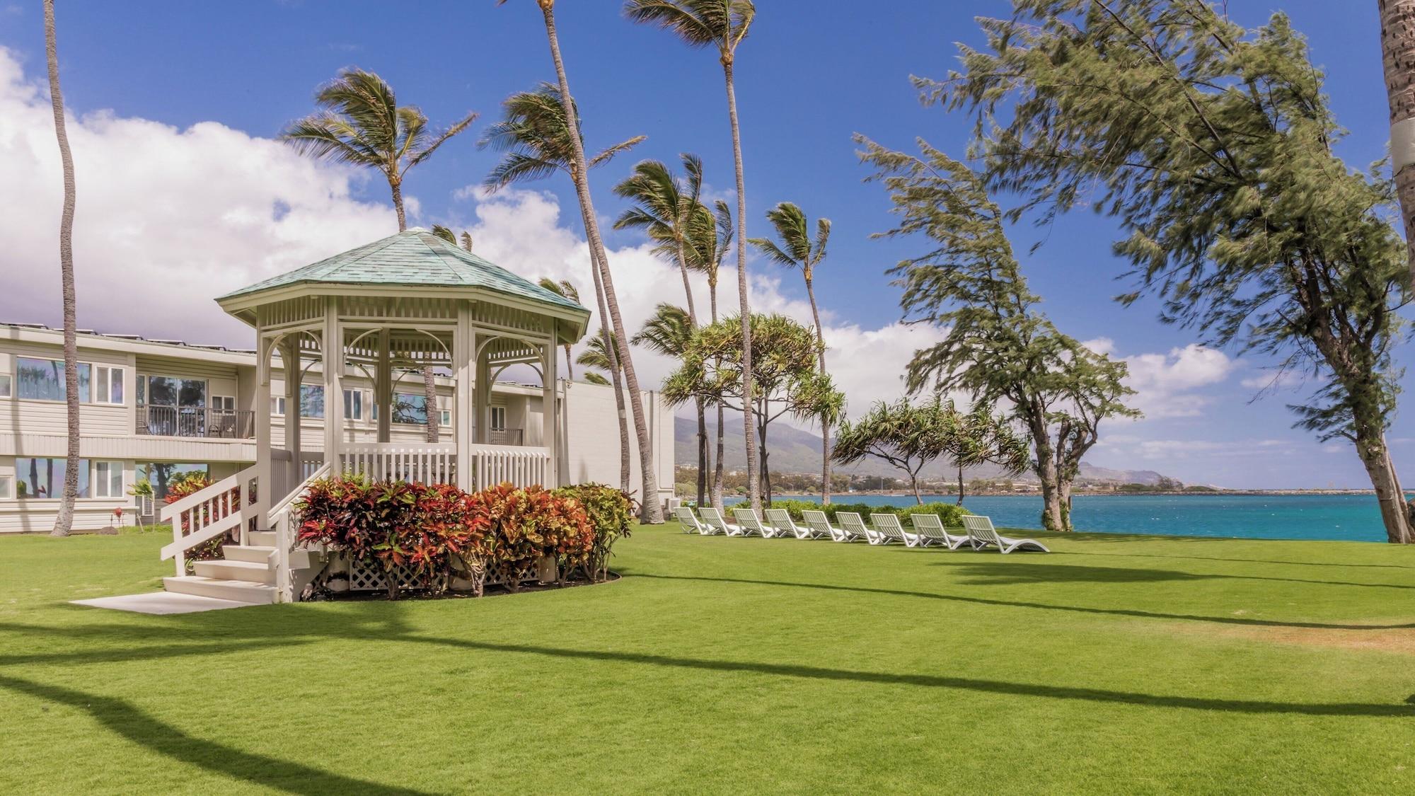 Maui Beach Hotel - photo 25