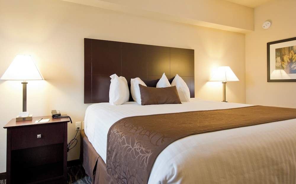 Cobblestone Inn & Suites Boone - photo 7