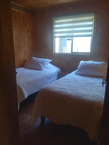 Los canelos in Unknown City, Chile