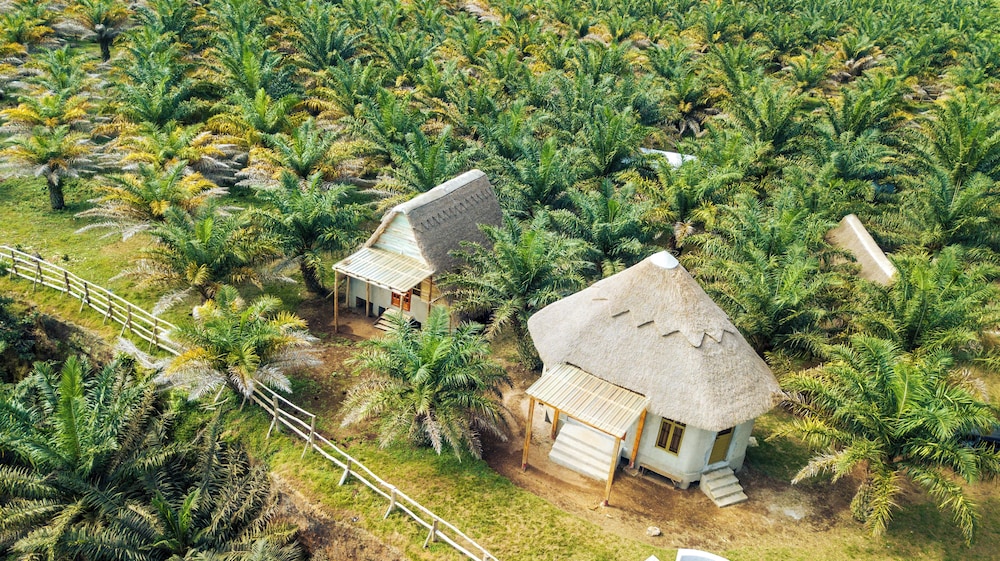 Bugoma Palms Resort Beach and Hotel in Kalangala, Republic of Uganda