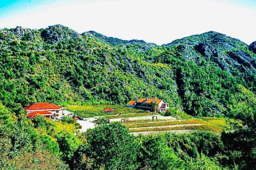 Eco Winery Lipovac Apartments — 4-Star Luxury Hotel in Cetinje, Montenegro