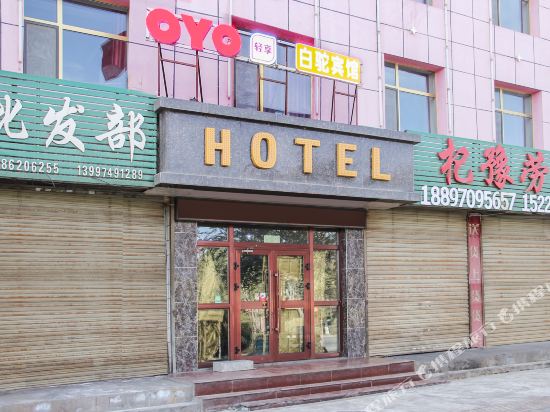Golmud white camel hotel - last minute hotel in Golmud