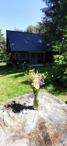 Casuta dintre brazi in Rasca, Romania